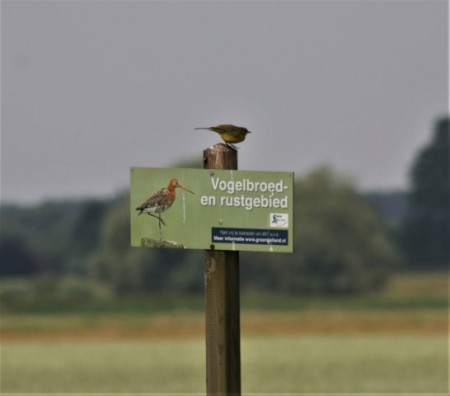 Deventer (2018)